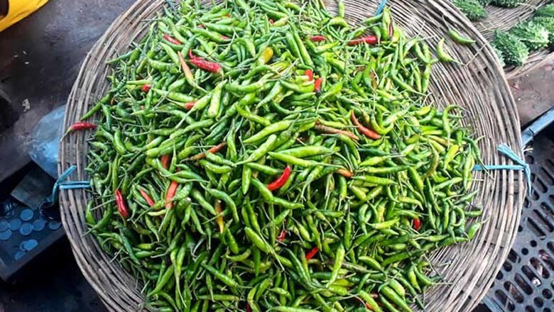 একদিনের ব্যবধানে কাঁচা মরিচের দাম কমলো দেরশ টাকা