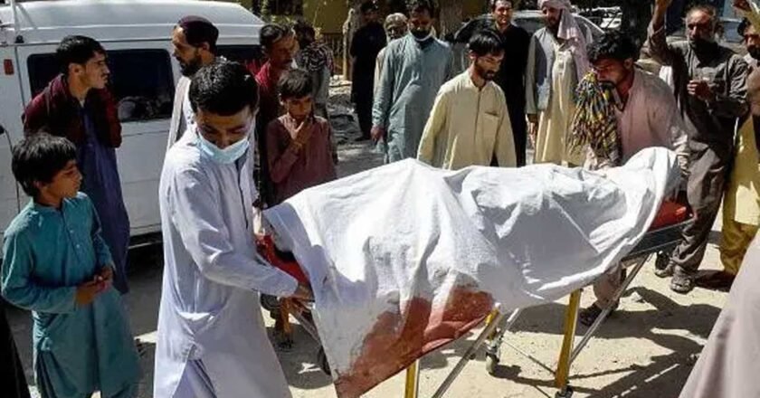 পাকিস্তানে সন্ত্রাসী হামলায় নিরাপত্তাকর্মীসহ নিহত ৭৩