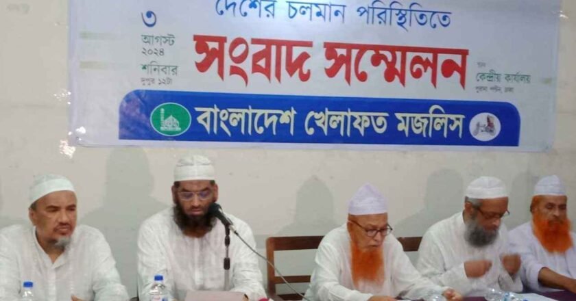 সরকারের পদত্যাগই একমাত্র সমাধান: মামুনুল হক