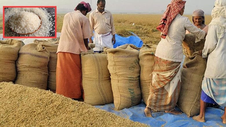 চৌদ্দ মাস পর চাল রপ্তানির ওপর থেকে নিষেধাজ্ঞা তুলল ভারত