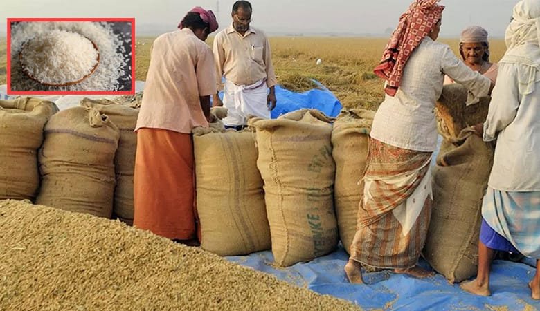 চৌদ্দ মাস পর চাল রপ্তানির ওপর থেকে নিষেধাজ্ঞা তুলল ভারত