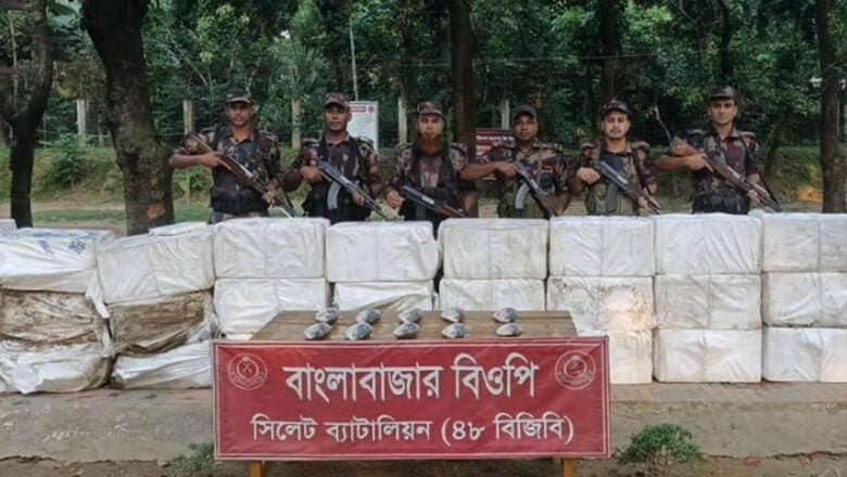 ভারতে পাচারের সময় বিজিবি’র হাতে ২২ লাখ টাকার ইলিশ জব্দ