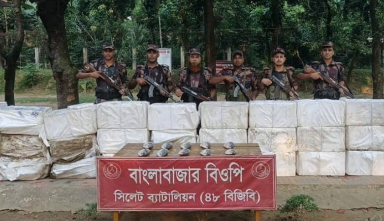 ভারতে পাচারের সময় বিজিবি'র হাতে ২২ লাখ টাকার ইলিশ জব্দ