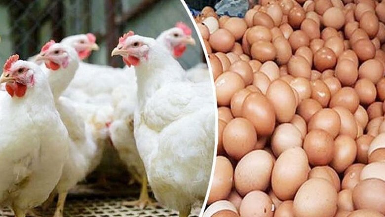 মুরগি ও ডিমের দাম নির্ধারণ করে দিলো সরকার