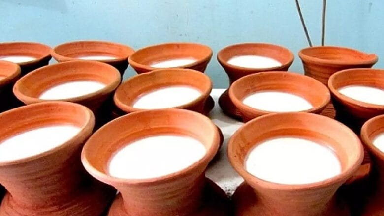 জিআই পণ্যের স্বীকৃতি পেলো ভোলার মহিষের দুধের কাঁচা দই