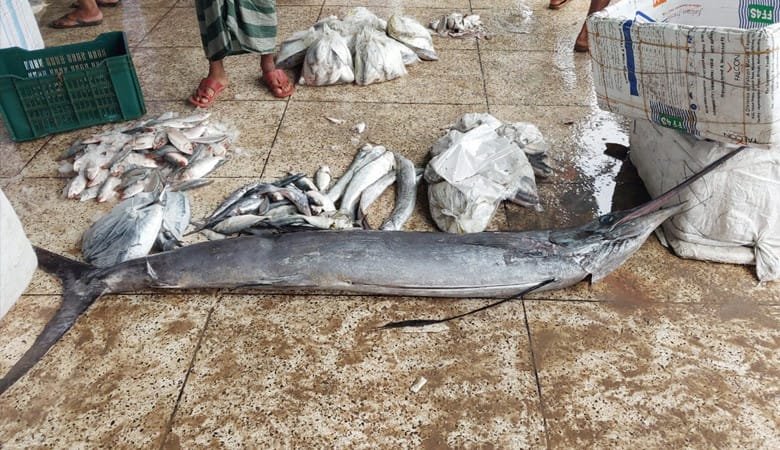 জালে ধরা পড়লো ৩০ কেজি ওজনের ‘পাখি মাছ’