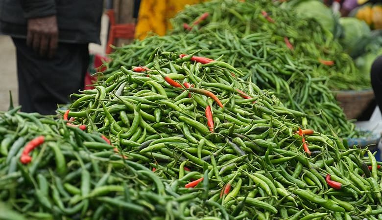 ভারত থেকে ৫৯৩ টন কাঁচামরিচ আমদানি, কমতে পারে দাম