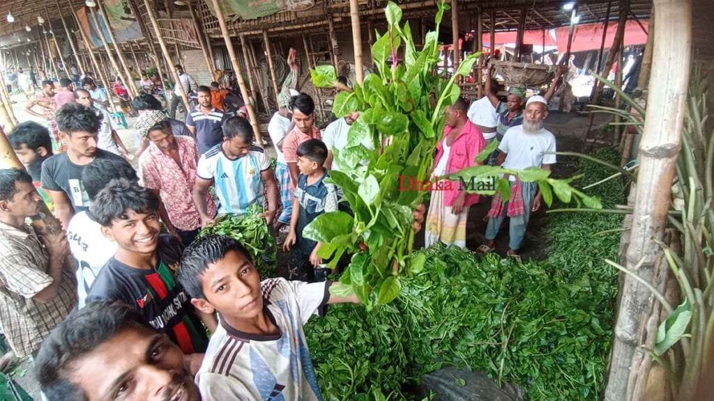 পাইকারি বাজারেই পুঁইশাকের আঁটি ৪৫ টাকা