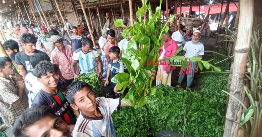 পাইকারি বাজারেই পুঁইশাকের আঁটি ৪৫ টাকা