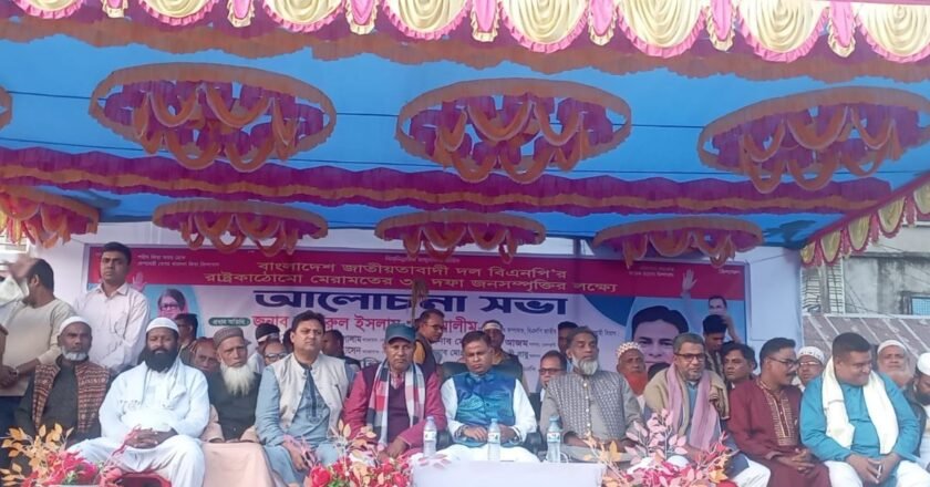 আওয়ামী লীগ দেশের সম্পদ লুটপাট করে বিদেশে পাচার করে দেশকে ধ্বংসের দ্বারপ্রান্তে পৌঁছে দিয়েছিল : আলীম