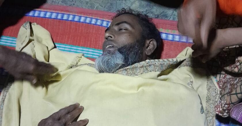 বেলকুচিতে মৌমাছির কামড়ে কৃষকের মৃত্যু