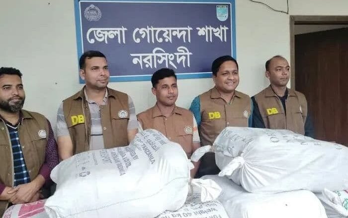 নরসিংদী শিবপুরের সৃষ্টিগড় লটকন বাগান থেকে ৯৬ কেজি গাঁজা উদ্ধার