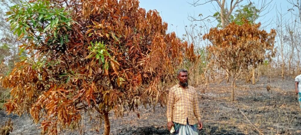 পানছড়িতে পূর্ব শত্রুতার জেরে আম বাগানে আগুন