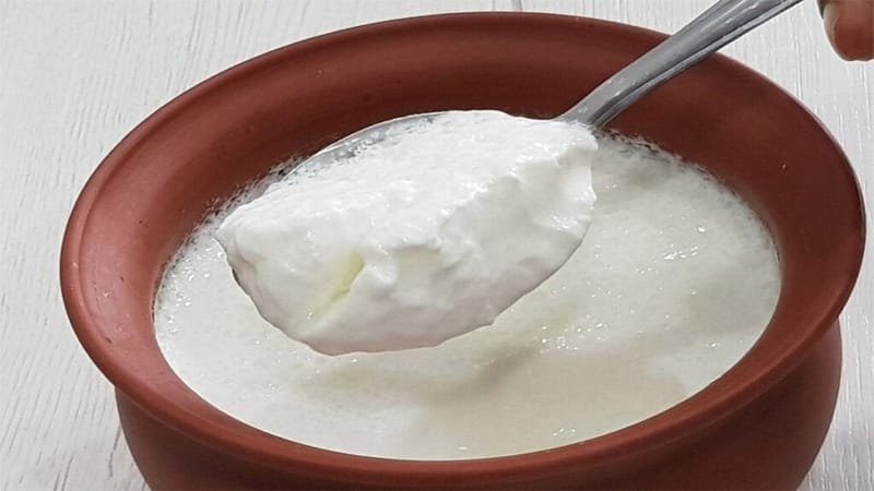 রায়গঞ্জে রোজায় টক দইয়ের চাহিদা তুঙ্গে