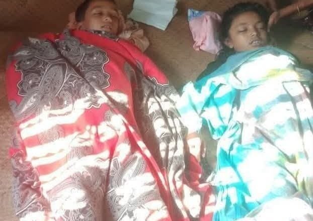 মায়ের সাথে গোসলে নেমে পুকুরে ডুবে ২ সন্তানের মৃত্যু