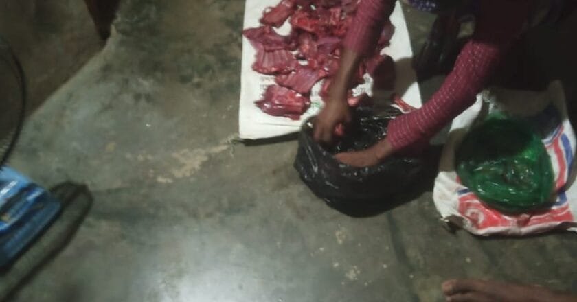 চুনতিতে বন্য হরিণ জবাই করে মাংস ভাগাভাগি