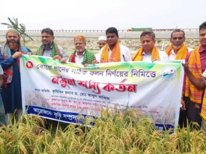 কামারখন্দে বোরোধানের সঠিক ফলন নির্ণয়ে নমুনা শস্য কর্তন ও কৃষক প্রশিক্ষণ অনুষ্ঠিত