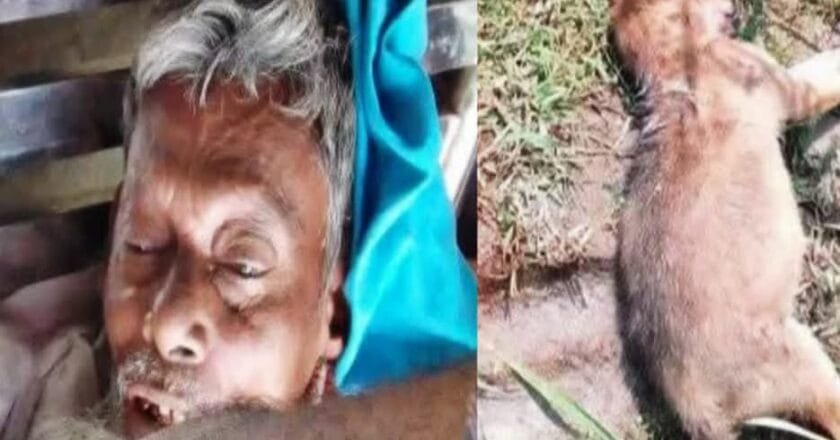 পাটক্ষেতে শিয়াল মারার ফাঁদে বিদ্যুৎস্পৃষ্ট হয়ে কৃষকের মৃত্যু