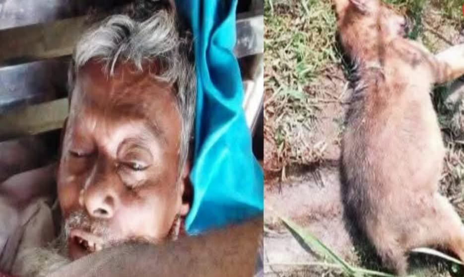 পাটক্ষেতে শিয়াল মারার ফাঁদে বিদ্যুৎস্পৃষ্ট হয়ে কৃষকের মৃত্যু