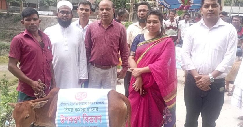 বেলকুচিতে বিনামূল্যে বকনা বাছুর পেল ৩২ জন জেলে