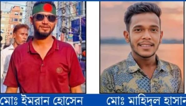 বেতাগী সরকারি কলেজ ছাত্রদলের সভাপতি ইমরান, সম্পাদক মহিদুল হাসান
