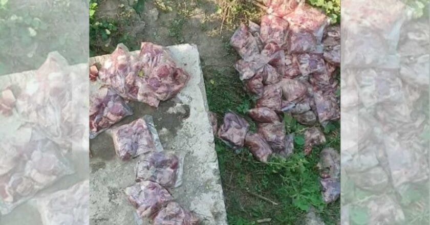 বদলগাছীতে ব্রিজের নিচে পড়ে আছে প্যাকেট করা মাংস; জনমনে আতঙ্ক