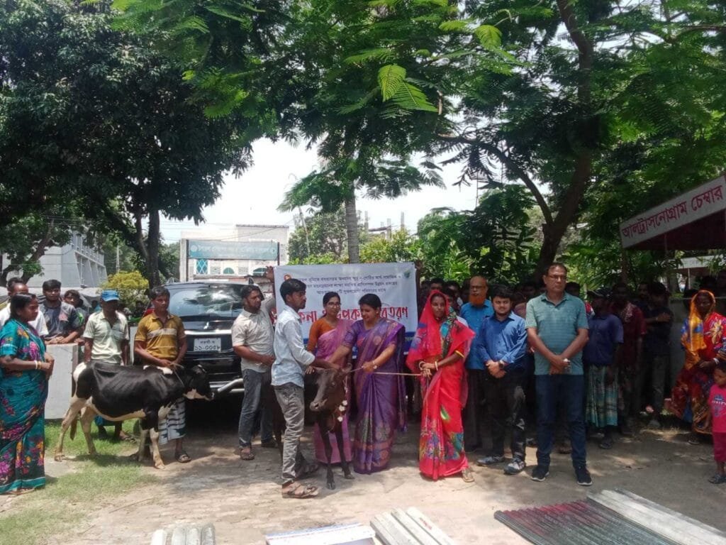 বদলগাছীতে ক্ষুদ্র নৃগোষ্ঠীর আর্থ সামাজিক উন্নয়নে বকনা বাছুর বিতরণ
