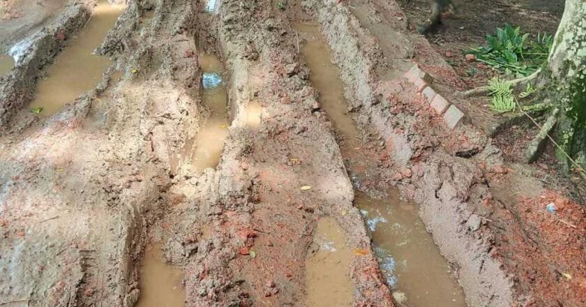 মির্জাগঞ্জে সড়ক যেন মরণ ফাঁদ