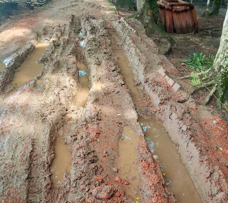 মির্জাগঞ্জে সড়ক যেন মরণ ফাঁদ