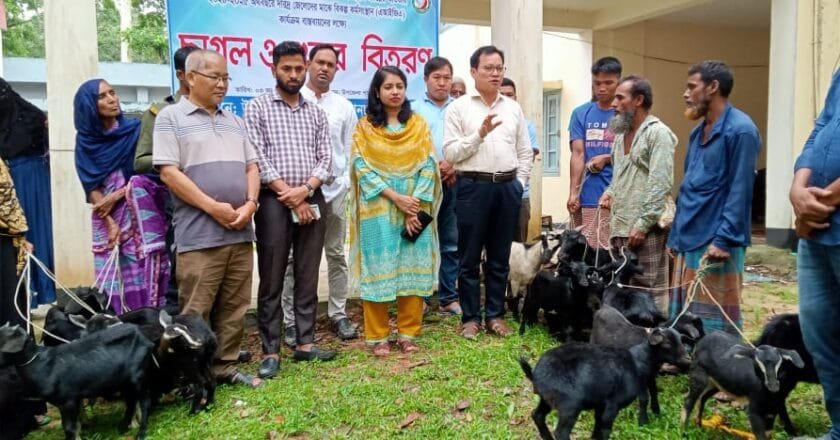 পানছড়িতে দরিদ্র জেলেদের মাঝে ছাগল ও শুকর বিতরণ