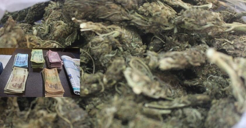 বদলগাছী থানা পুলিশের অভিযানে এক নারী মাদক কারবারি আটক