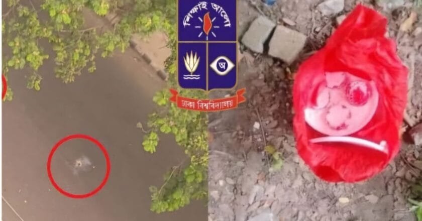 ঢাবিতে ছাত্রলীগের ঝটিকা মিছিল ও ককটেল বিস্ফোরণ