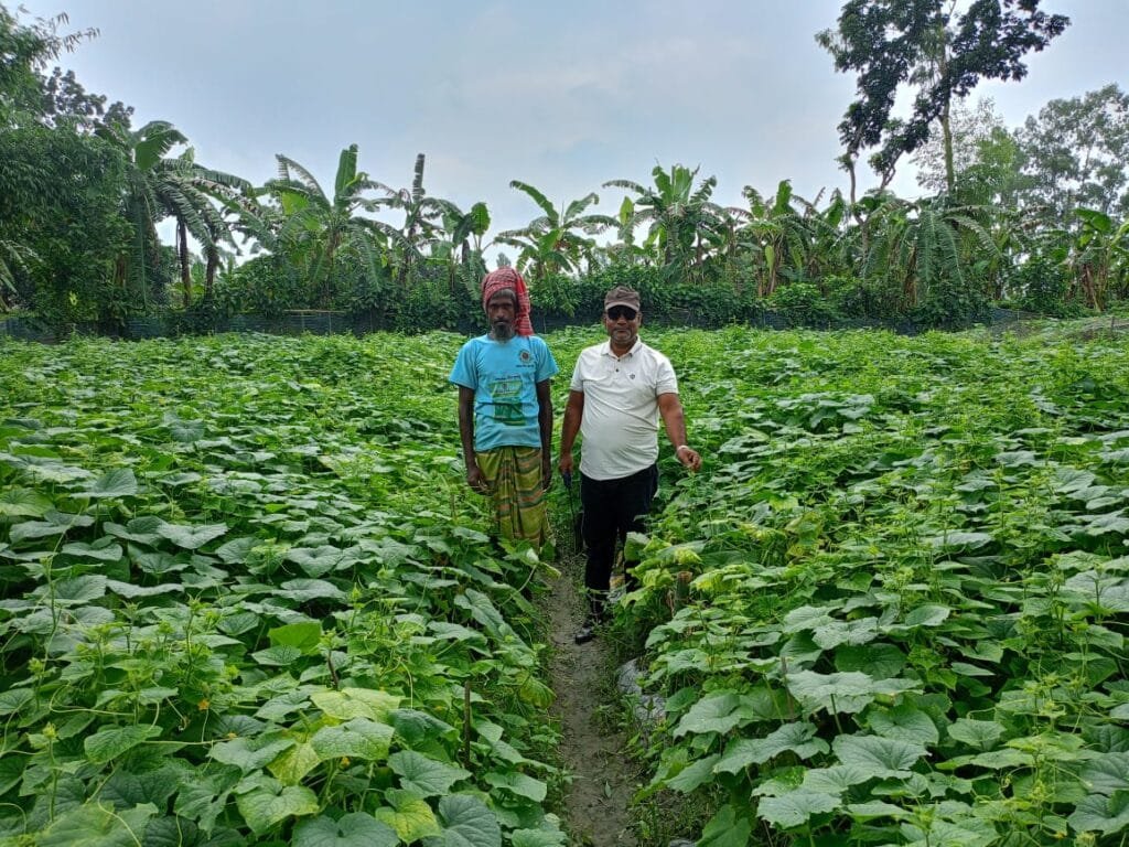সবজি চাষে সফল সিরাজগঞ্জের কৃষক আব্দুল মুন্নাফ