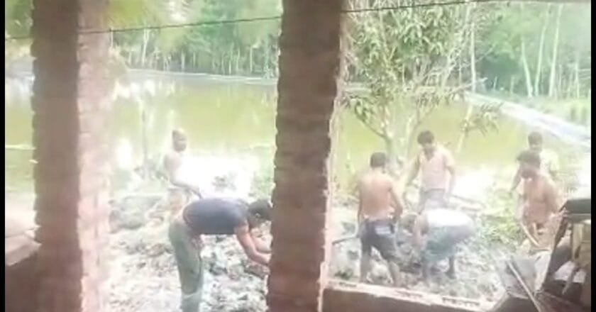 নাগেশ্বরীতে গরুর খামার ও ফলজ বাগান কেটে জোরপূর্বক রাস্তা নির্মাণের অভিযোগ