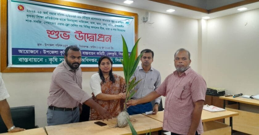 বেলকুচিতে বিনামূল্যে নারকেল ও তালের চারা বিতরণ