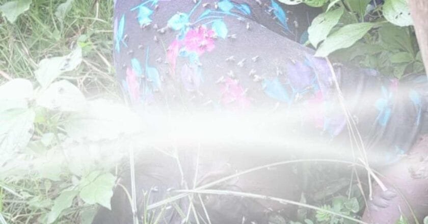 ভূরুঙ্গামারীতে নিখোঁজের ৩ দিন পর কবরস্থান থেকে মহিলার লাশ উদ্ধার