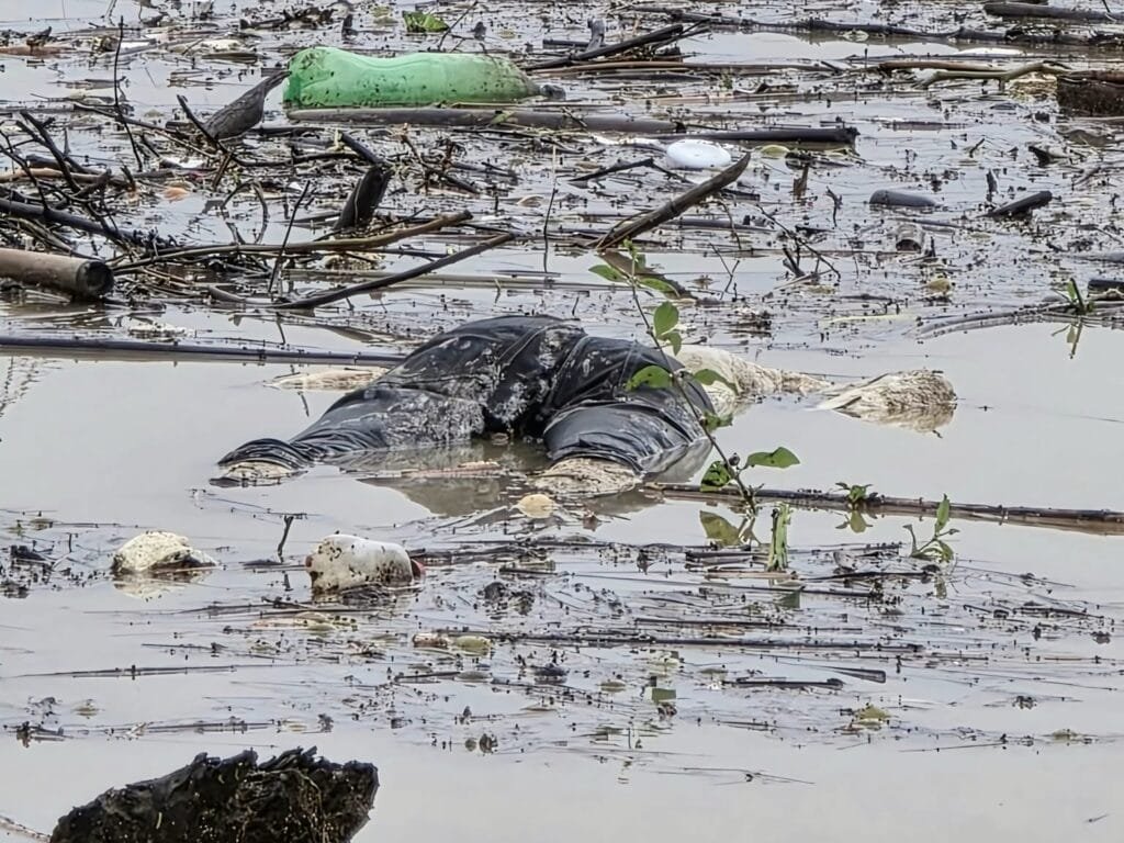 মহালছড়িতে ডোবায় থেকে অজ্ঞাত ব্যক্তির অর্ধ গলিত লাশ উদ্ধার