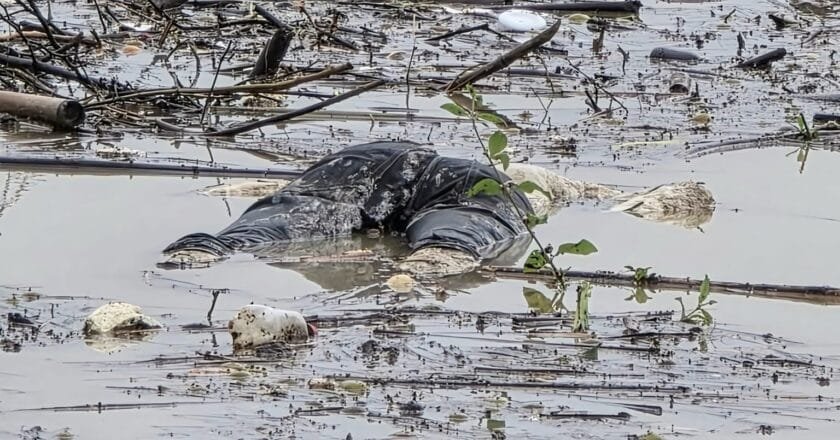 মহালছড়িতে ডোবায় থেকে অজ্ঞাত ব্যক্তির অর্ধ গলিত লাশ উদ্ধার