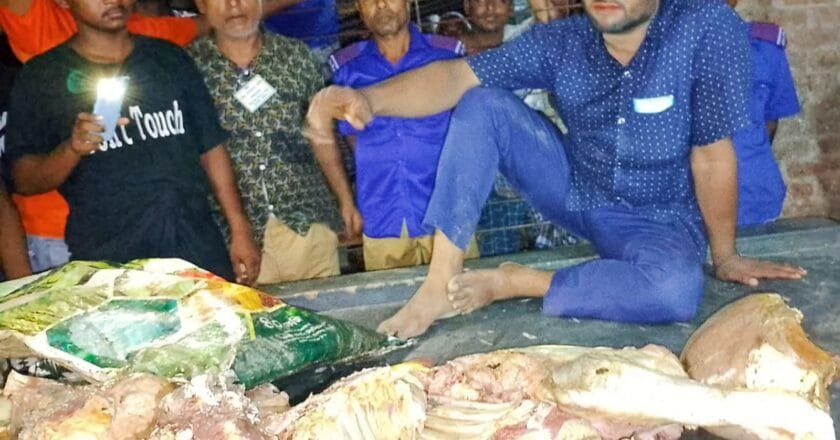 ফুলবাড়ীতে ল্যাম্পি আক্রান্ত গরুর পঁচা মাংস বিক্রির চেষ্টা, কসাই আটক