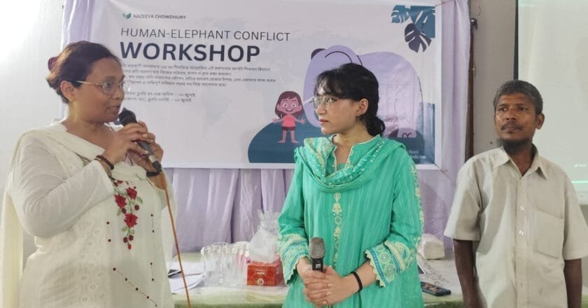 মানব-হাতি দ্বন্দ নিরসনে নাজিয়ার উদ্ভাবনী চিন্তাধারা