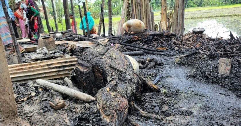 কুড়িগ্রামে ভয়াবহ অগ্নিকাণ্ডে দুই পরিবারের ছয়টি ঘর পুড়ে ছাই, ক্ষতি ১৫ লাখ টাকা
