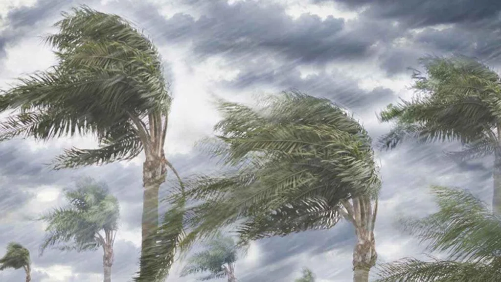 দুপুরের মধ্যে ৭ জেলায় ৬০ কিলোমিটার বেগে ঝড়ের পূর্বাভাস