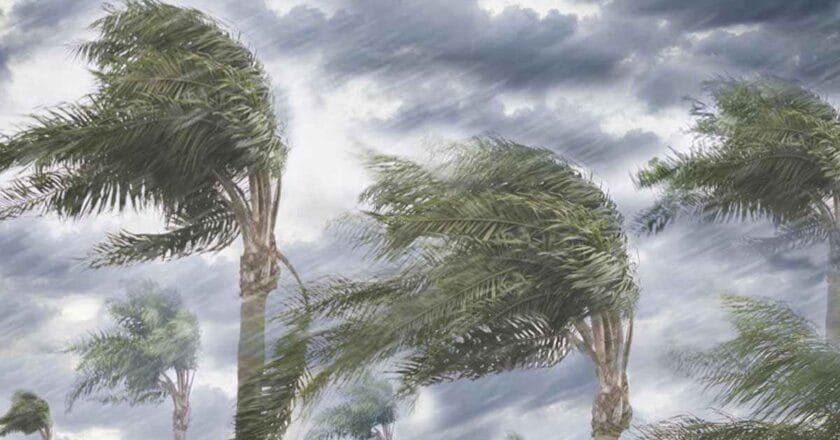 দুপুরের মধ্যে ৭ জেলায় ৬০ কিলোমিটার বেগে ঝড়ের পূর্বাভাস