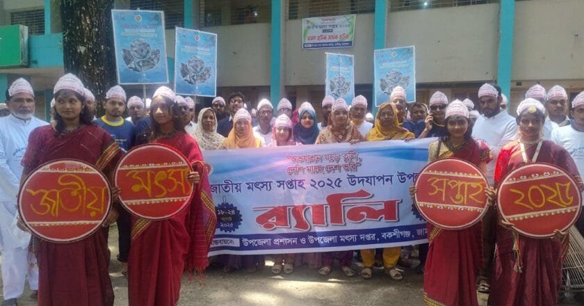 বকশীগঞ্জে জাতীয় মৎস্য সপ্তাহে র‍্যালি ও আলোচনা সভা
