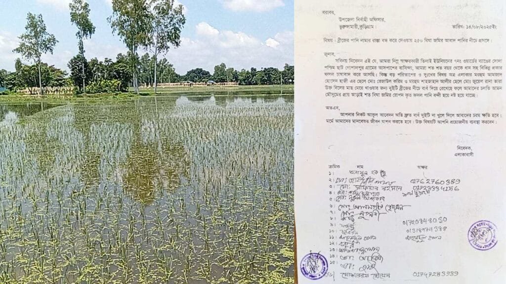 ভূরুঙ্গামারীতে বাঁধ দিয়ে মাছ চাষ: ২৫০ বিঘা জমিতে জলাবদ্ধতা