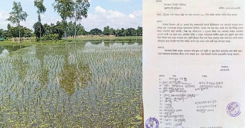 ভূরুঙ্গামারীতে বাঁধ দিয়ে মাছ চাষ: ২৫০ বিঘা জমিতে জলাবদ্ধতা