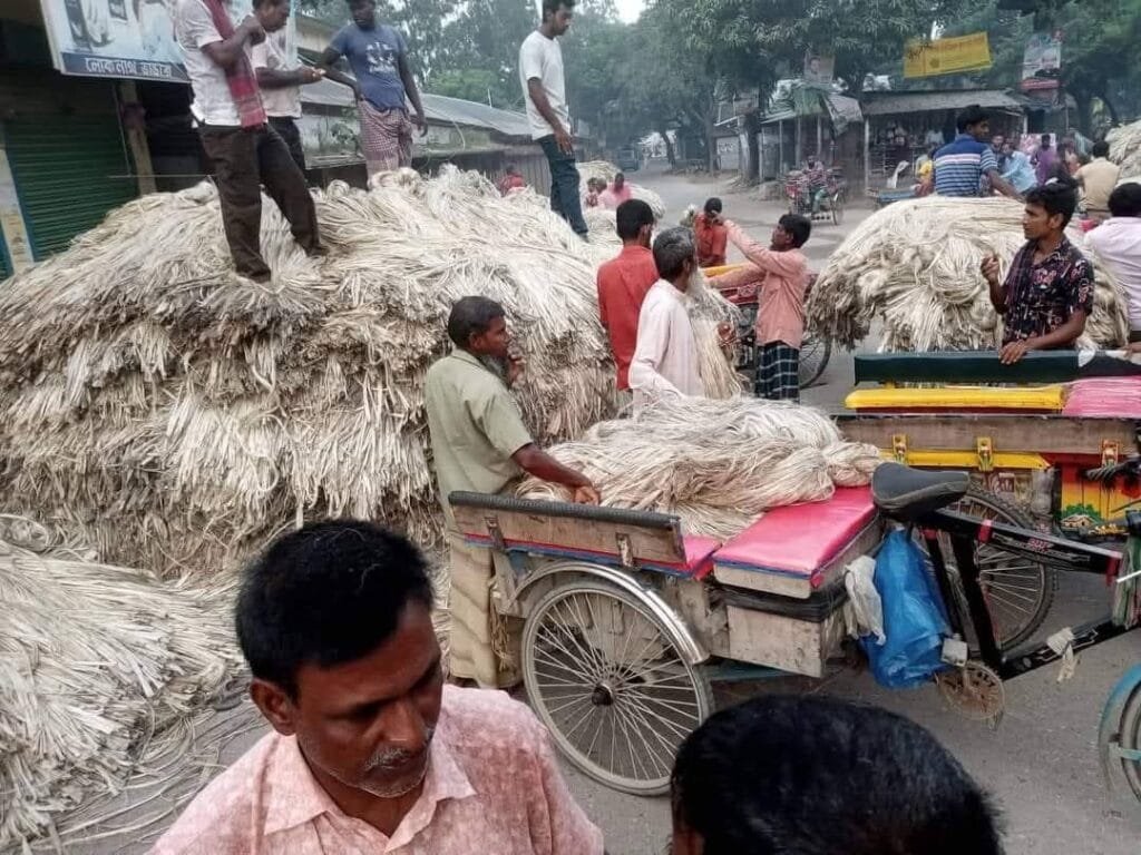 সলঙ্গায় পাটের হাট ভোর রাত থেকে শুরু সকাল না হতেই শেষ