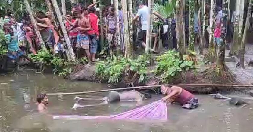 তজুমদ্দিনে নিখোঁজের ৪ দিন পর পুকুর থেকে বাকপ্রতিবন্ধীর লাশ উদ্ধার
