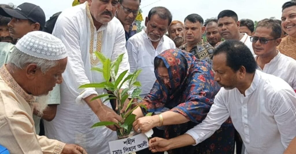শিয়ালকোলে জেলা বিএনপির সভাপতি রুমানা মাহমুদের বৃক্ষরোপণ কর্মসূচি