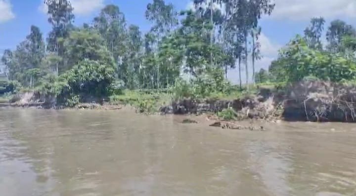 কুড়িগ্রামের দুধকুমারের পানি বিপদসীমার ৬ সে.মি. উপরে; তীব্র ভাঙনে মানুষ দিশেহারা